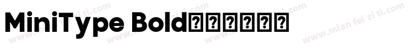 MiniType Bold字体转换